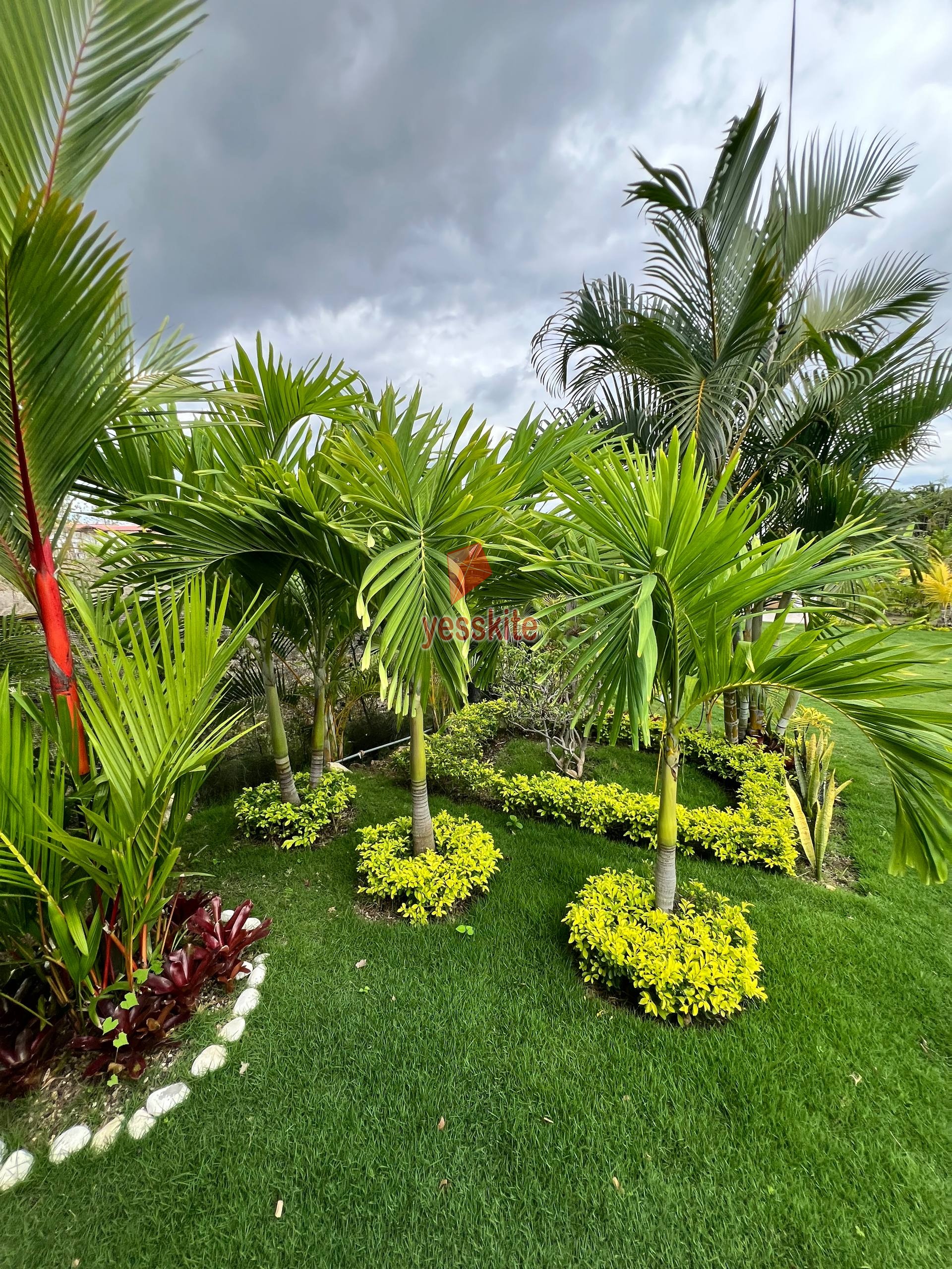 Finca del Pacifico18