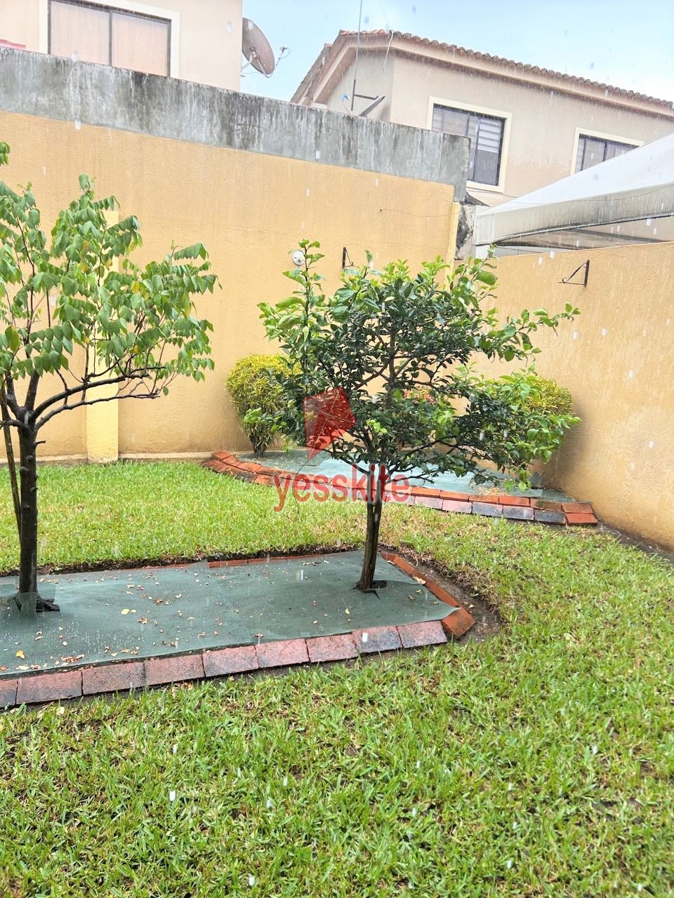 Patio Jardin2