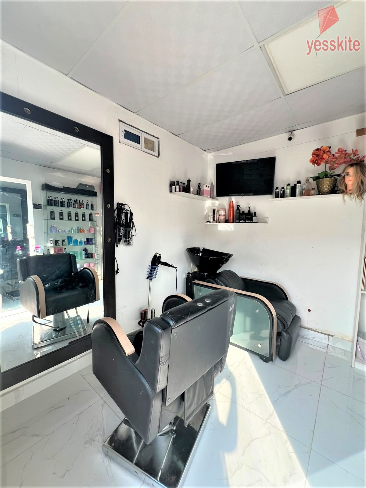 Salon1